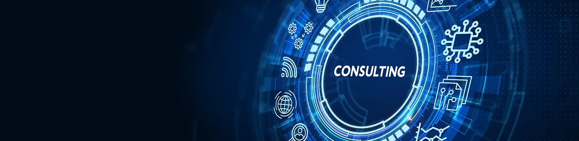 Consultancy Top Banner Img